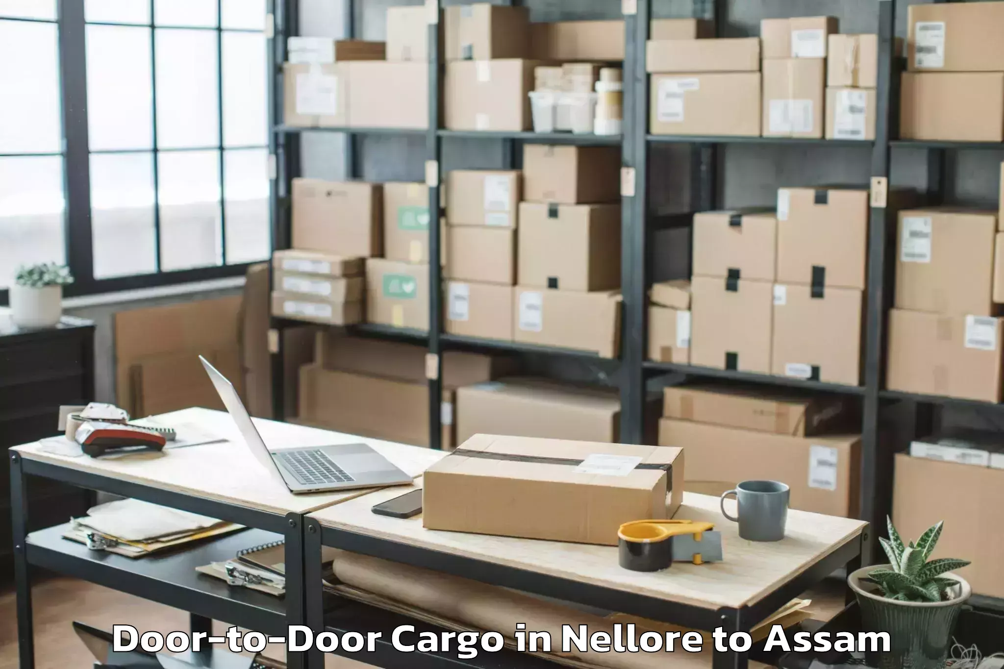 Book Nellore to Cotton University Guwahati Door To Door Cargo Online